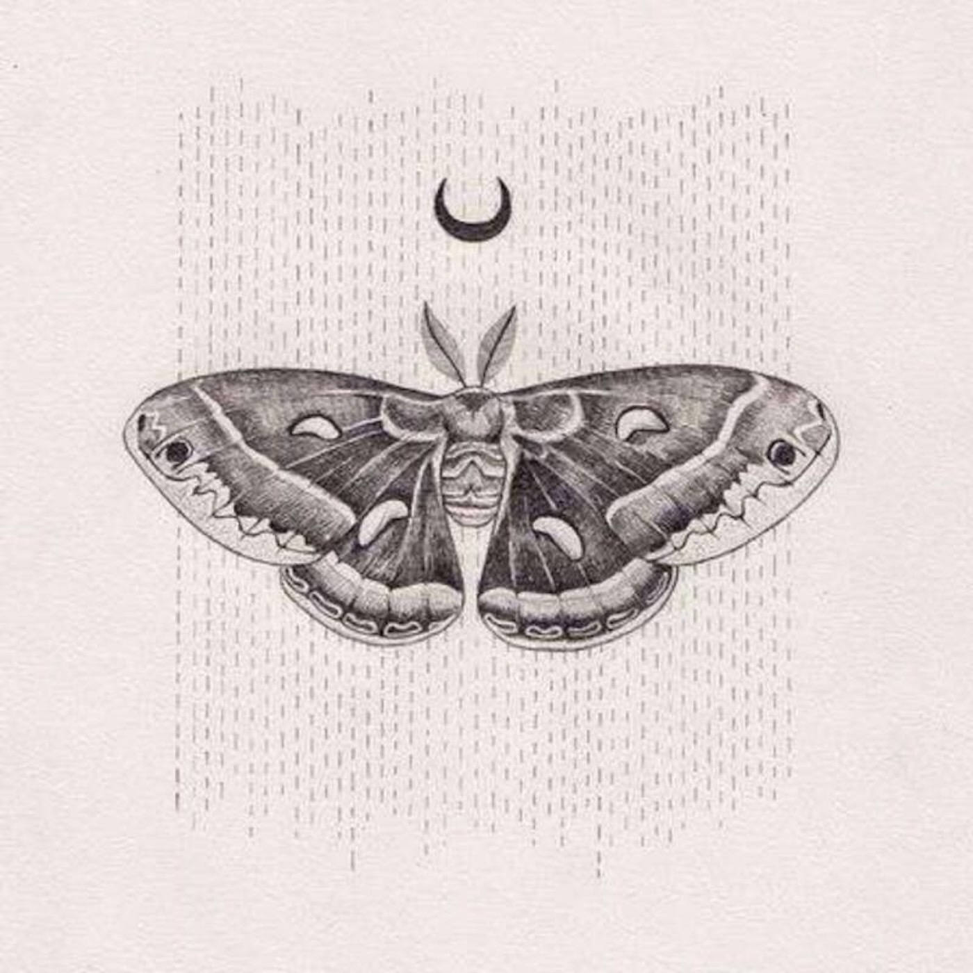 MOTH Album Cover